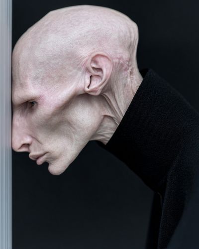 Surreal Bald Portrait Print. poster print