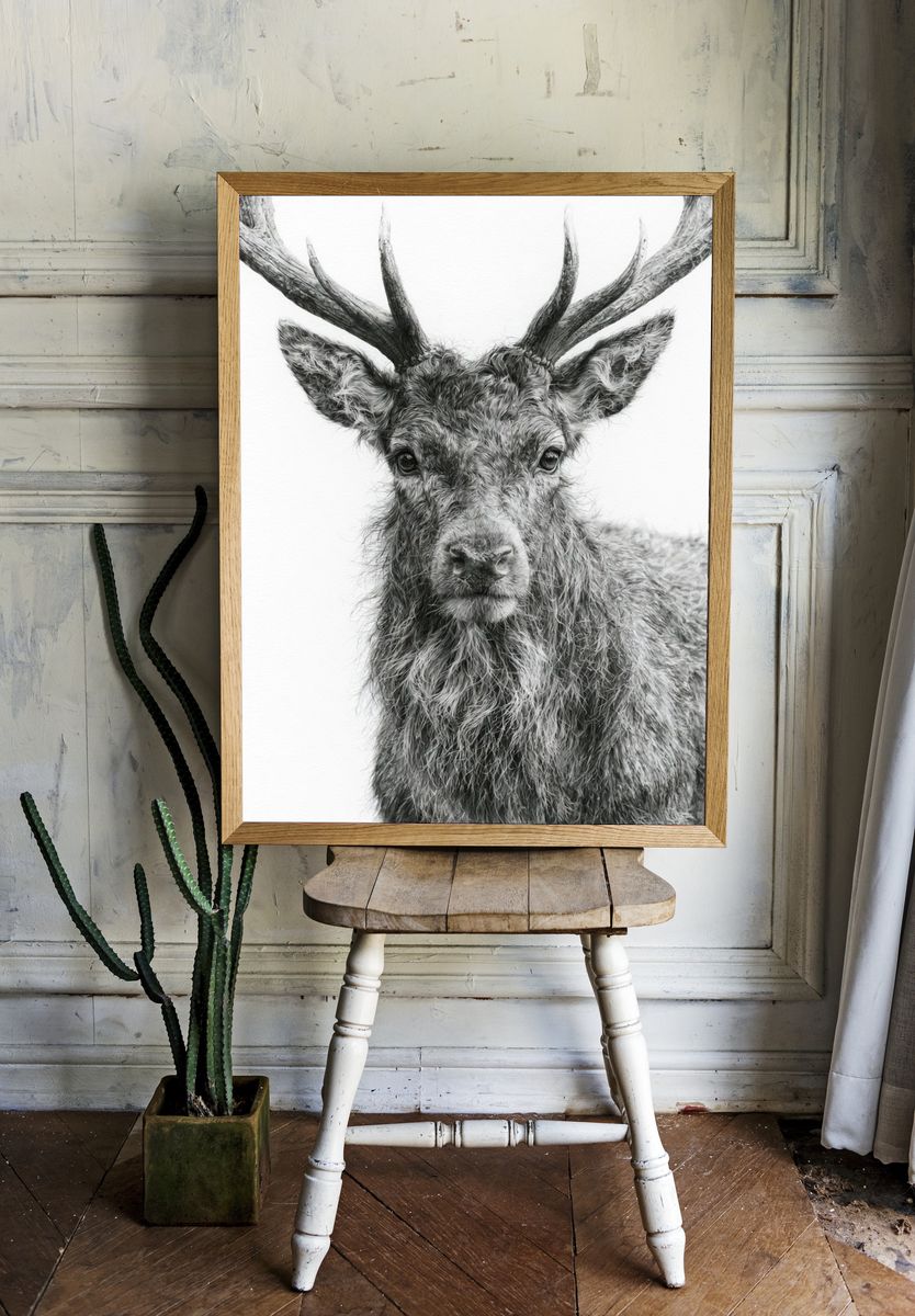 Majestic Stag Portrait Print. room preview