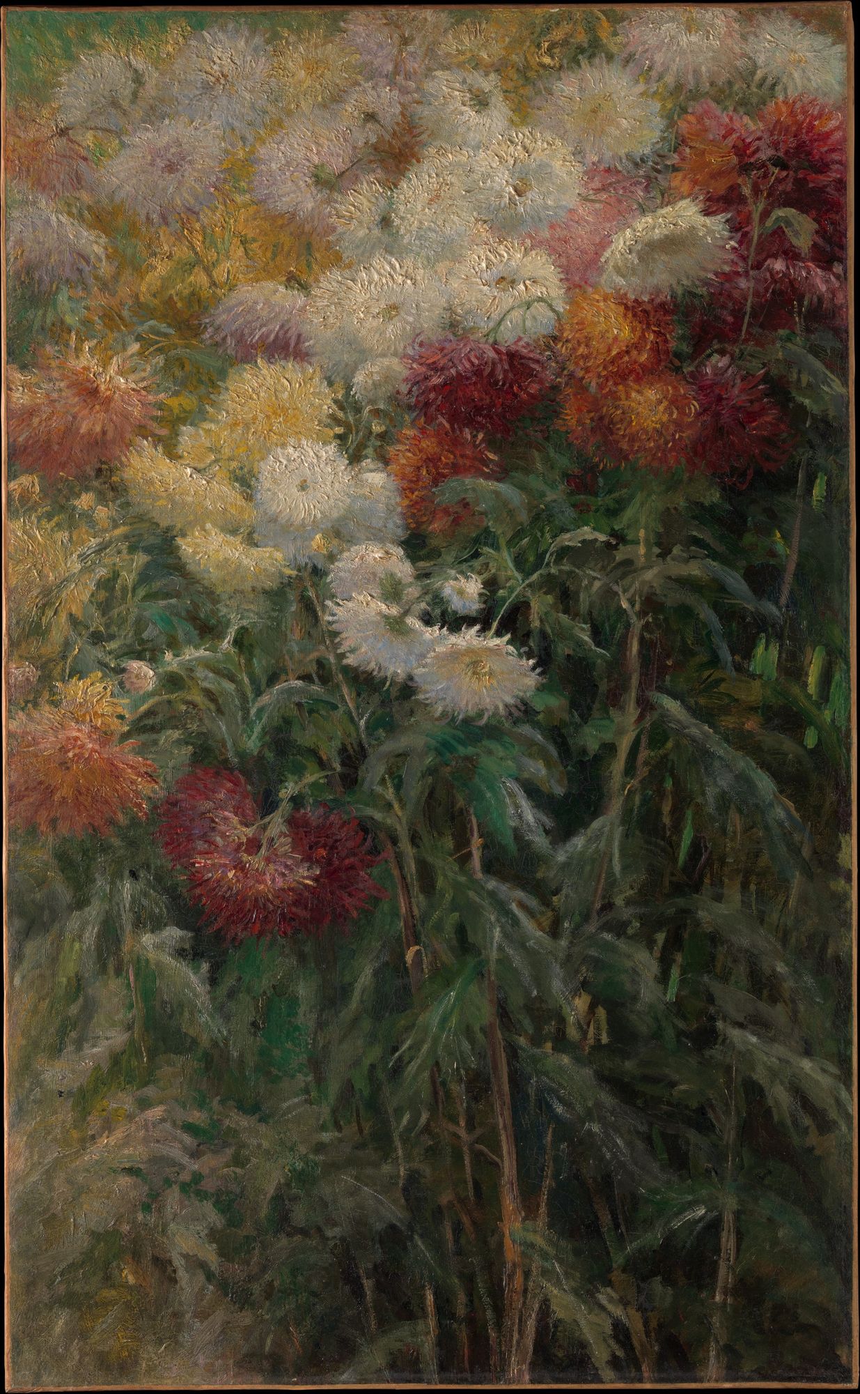 Chrysanthemums in the Garden at Petit-Gennevilliers by Gustave Caillebotte — Art Print. poster — fine-art art