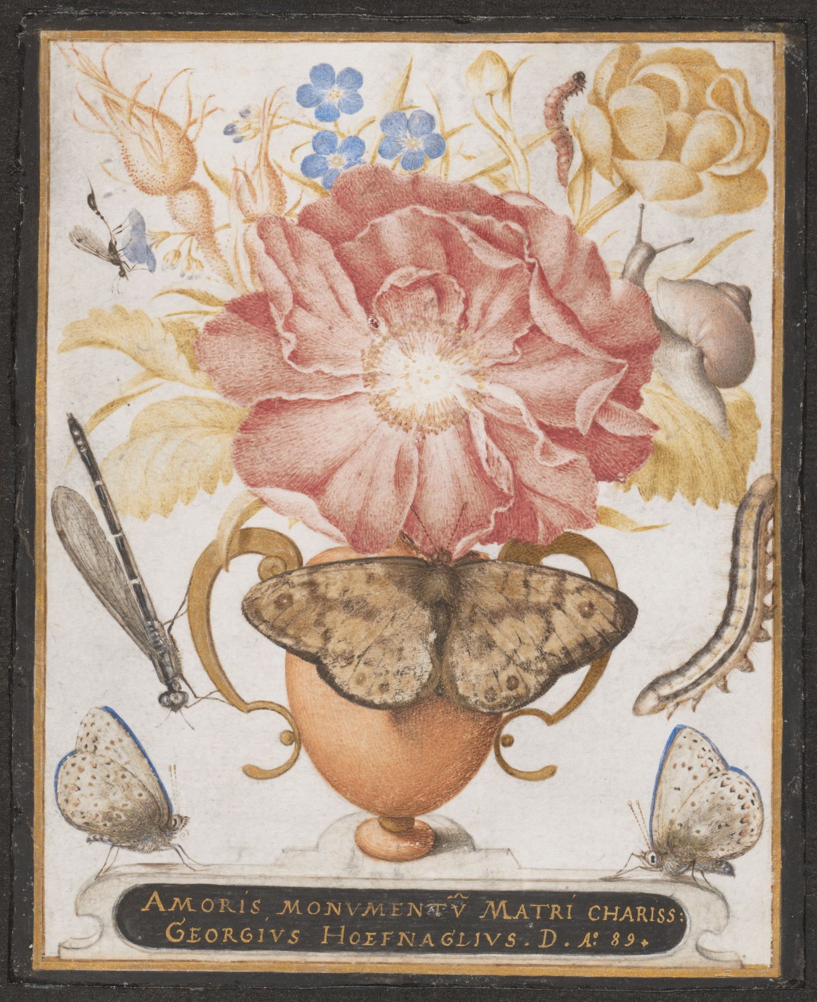 Still Life with Flowers, a Snail and Insects by Joris Hoefnagel — Art Print. poster — fine-art art