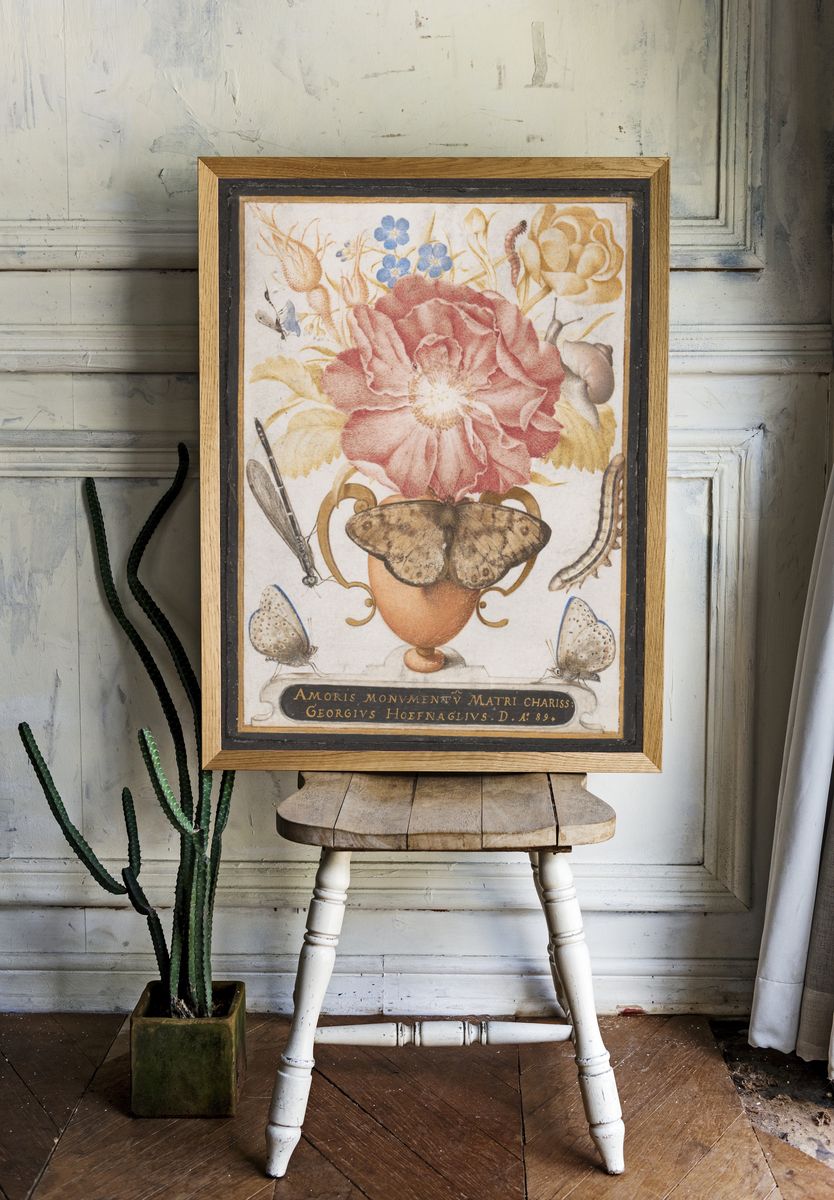 Still Life with Flowers, a Snail and Insects by Joris Hoefnagel — Art Print. — room view 1