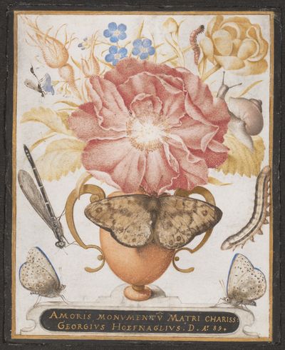 Still Life with Flowers, a Snail and Insects by Joris Hoefnagel — Art Print.