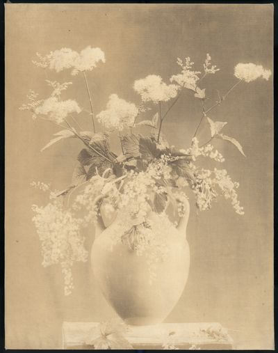 [Vase of Flowers] by Unknown — Art Print. poster