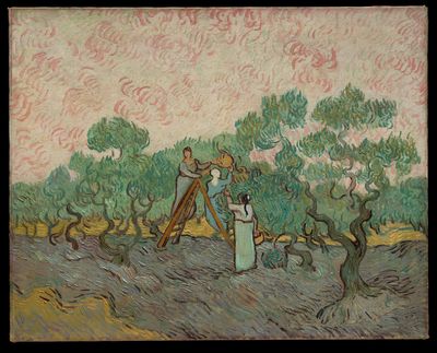 Women Picking Olives by Vincent van Gogh — Art Print.