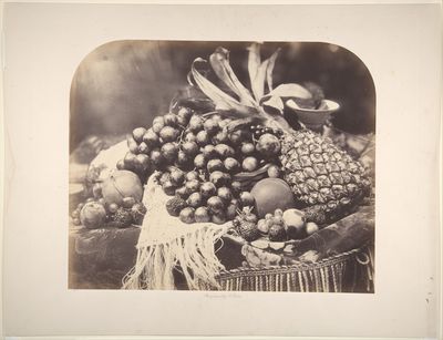 [Still Life with Fruit] by Roger Fenton — Art Print. poster