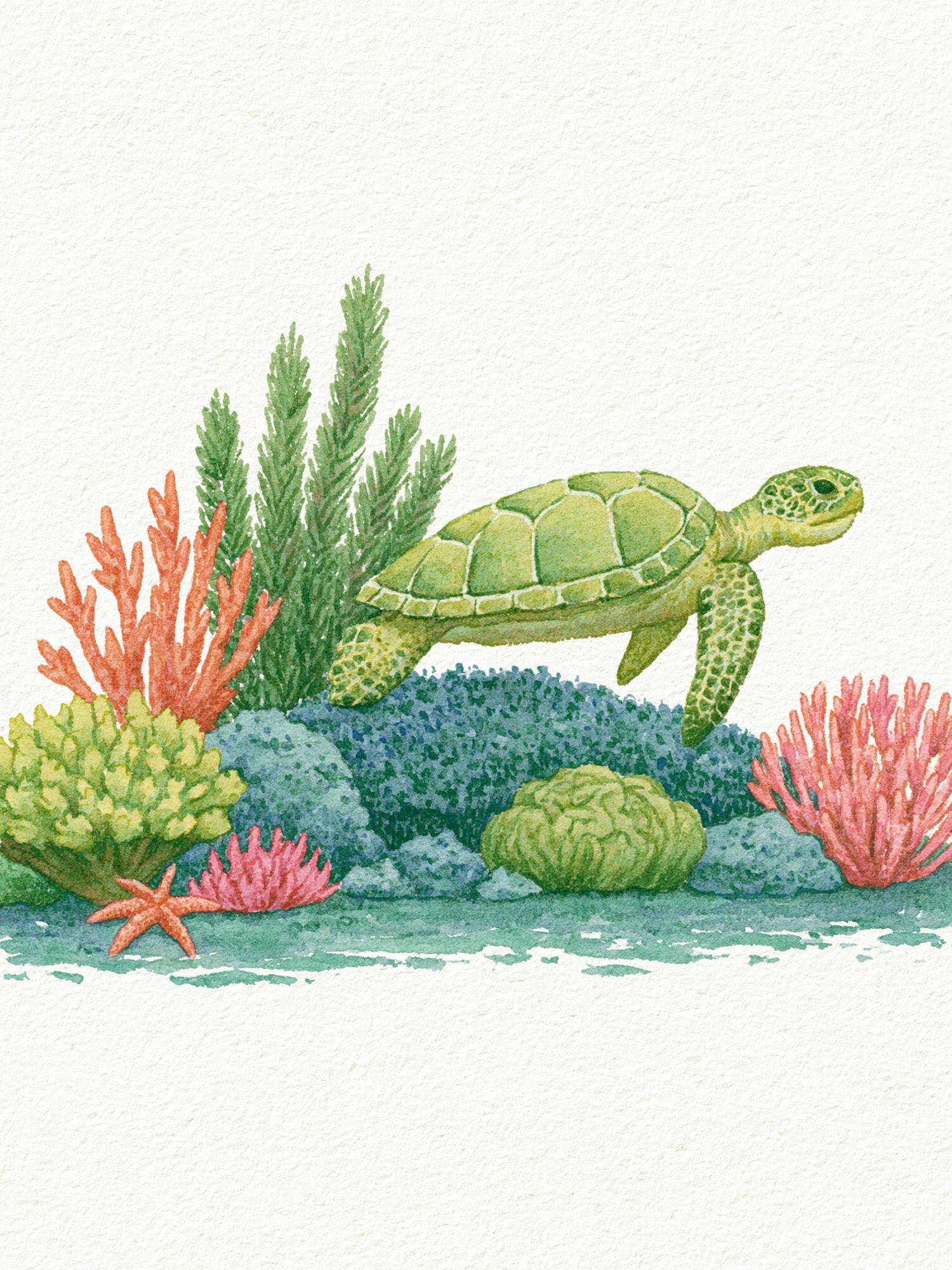 Sea Turtle Watercolor Poster. poster detail