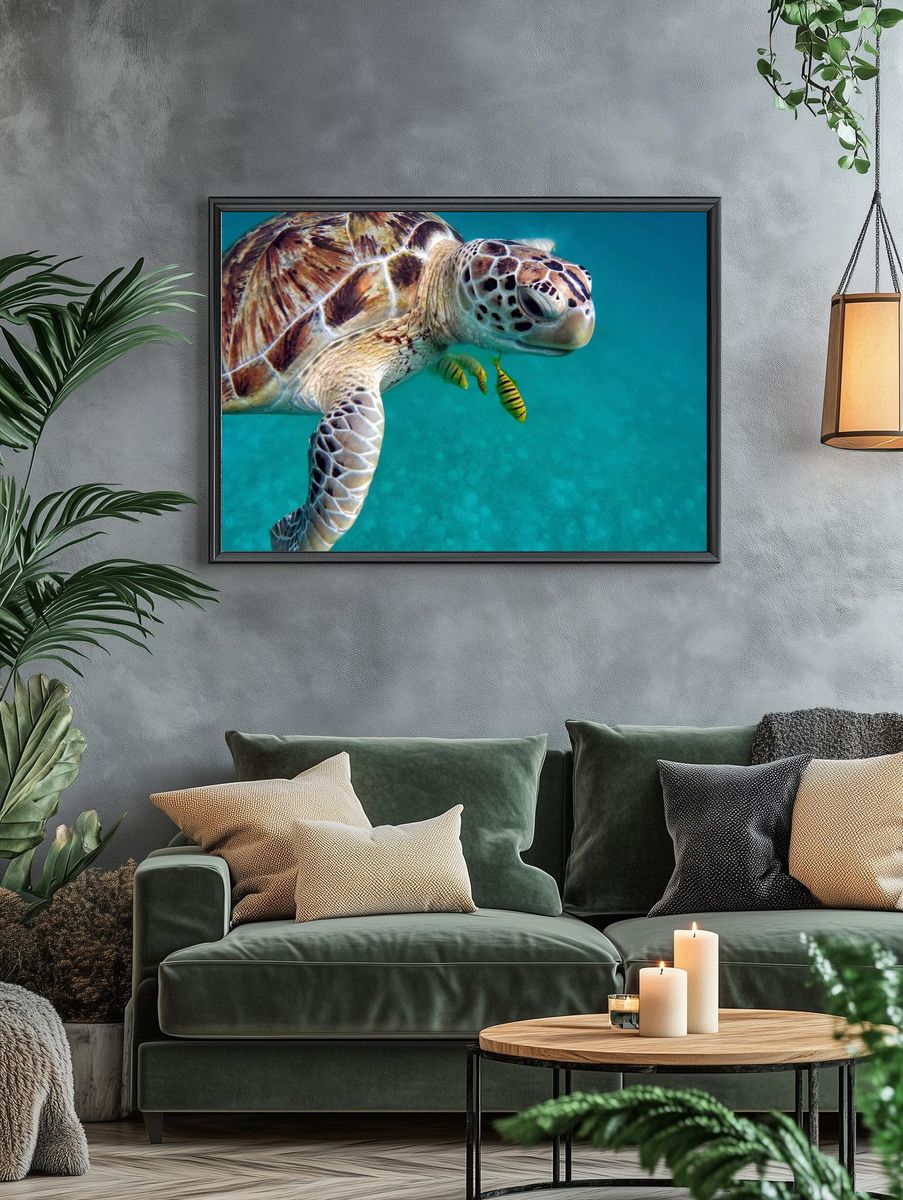 Sea Turtle Underwater Photography Poster. — room view 4