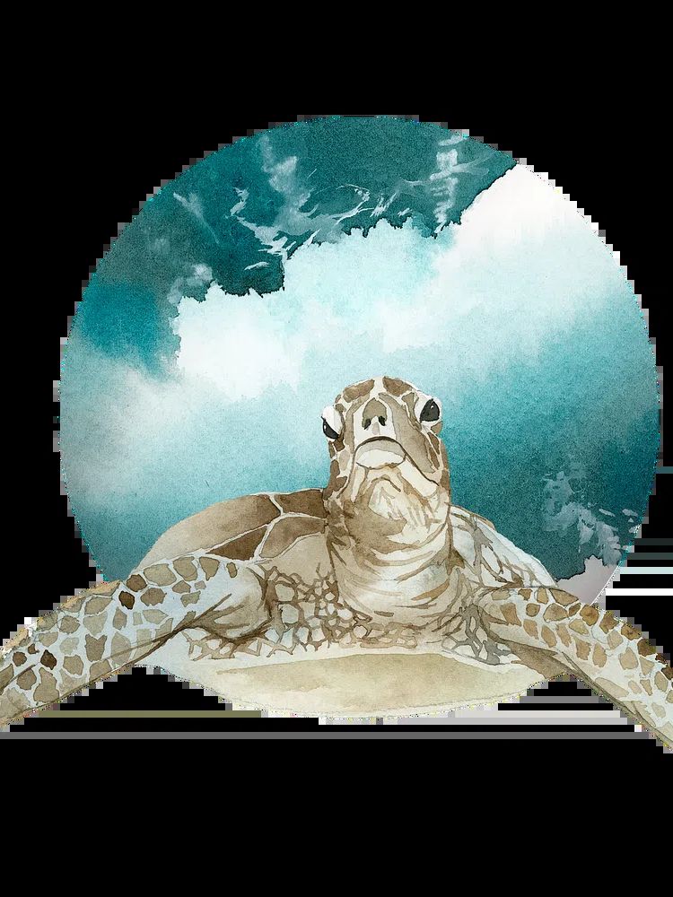 Watercolor painted turtle green badge. poster — animals art
