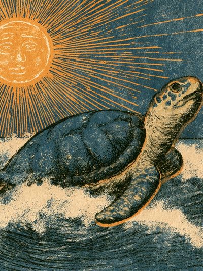 Sea Turtle Sunburst Vintage Print. poster