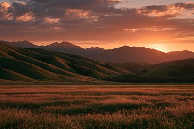 Sunset Rolling Hills Photography Poster. poster