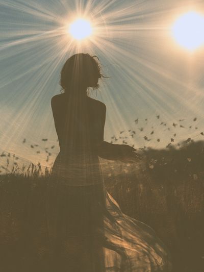 Sunlit Silhouette Photography Poster. poster