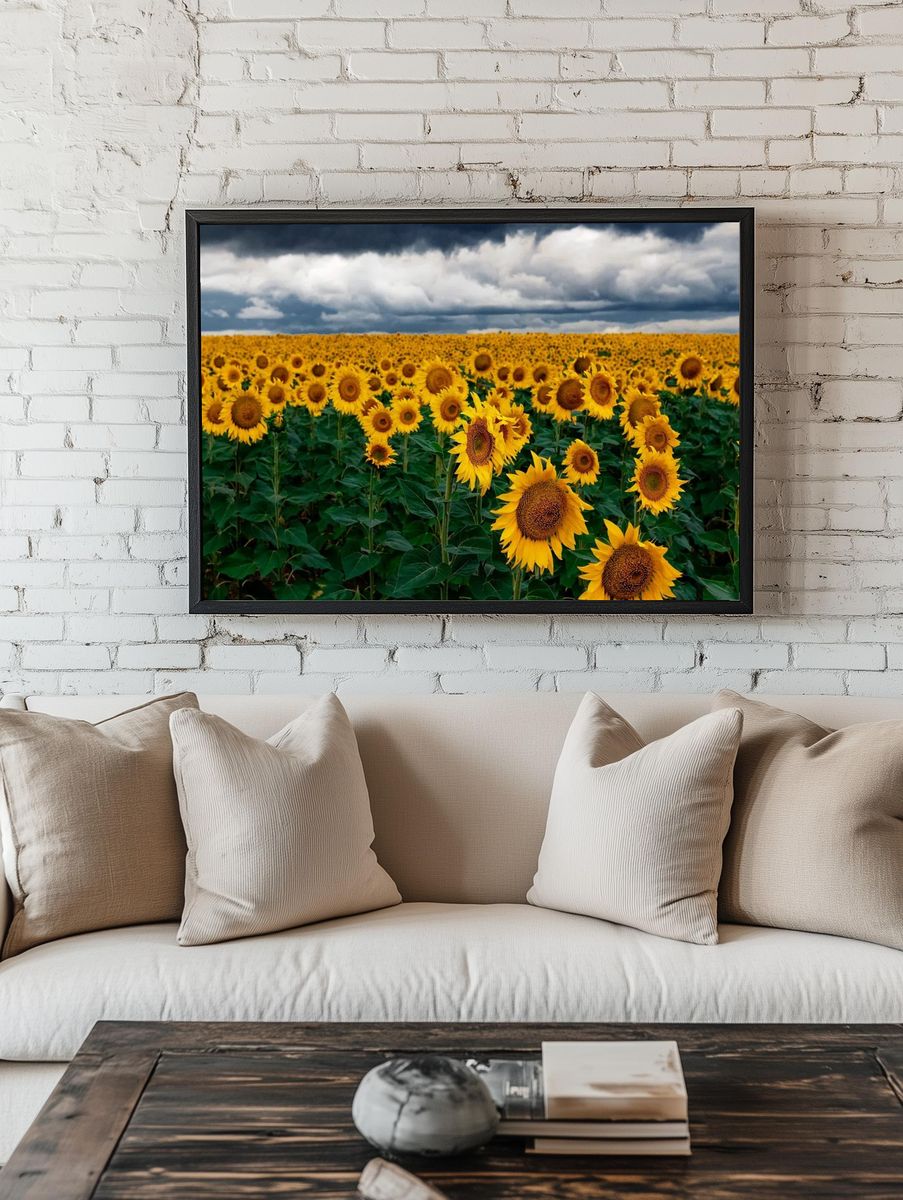 Sunflower Field — Nature Print room preview