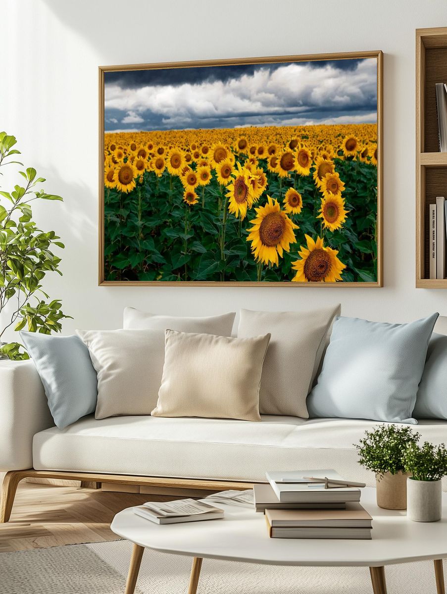 Sunflower Field — Nature Print. — room view 2