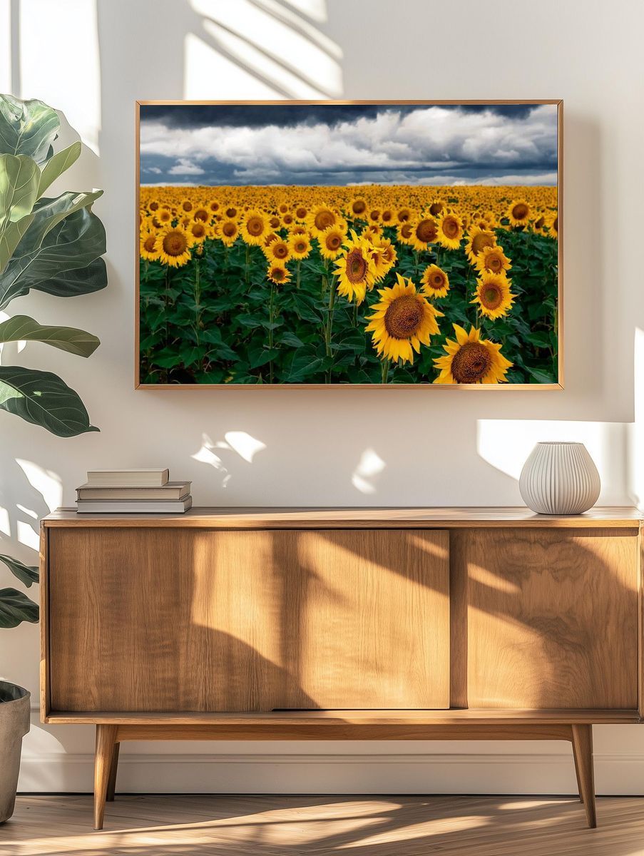 Sunflower Field — Nature Print. — room view 3