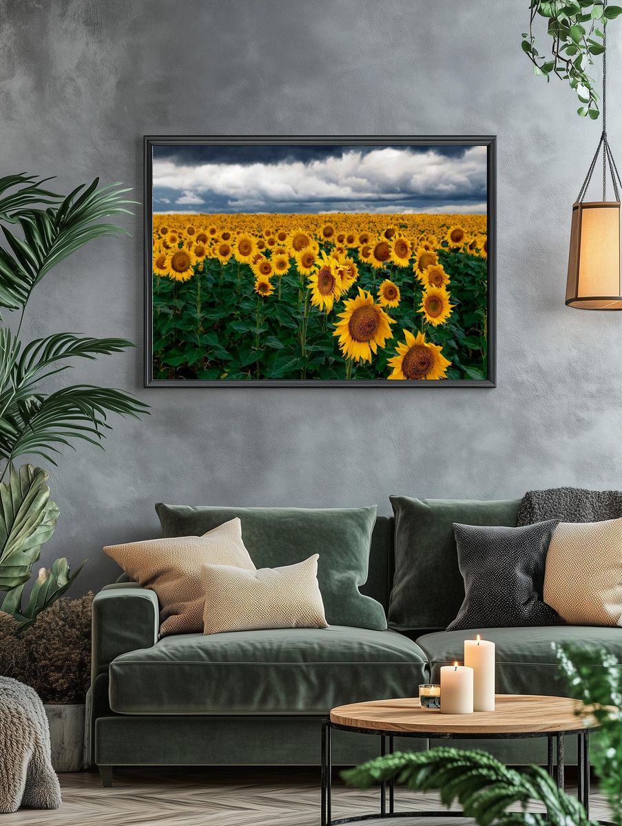 Sunflower Field — Nature Print. — room view 4