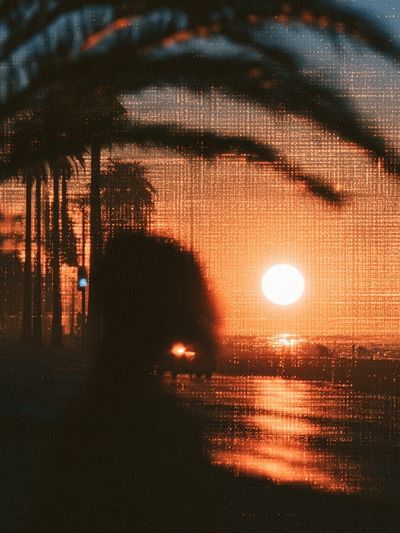 Sunset Palm Silhouette Photography Poster. poster