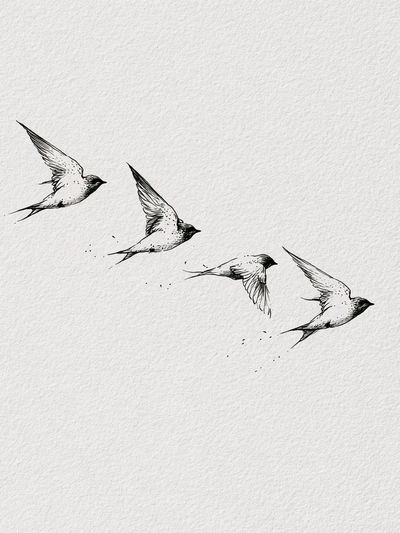 Swallows in Flight Minimalist Print.