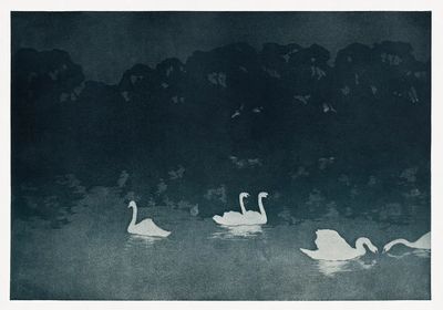 Les Cygnes (1899) Francis Jourdain.