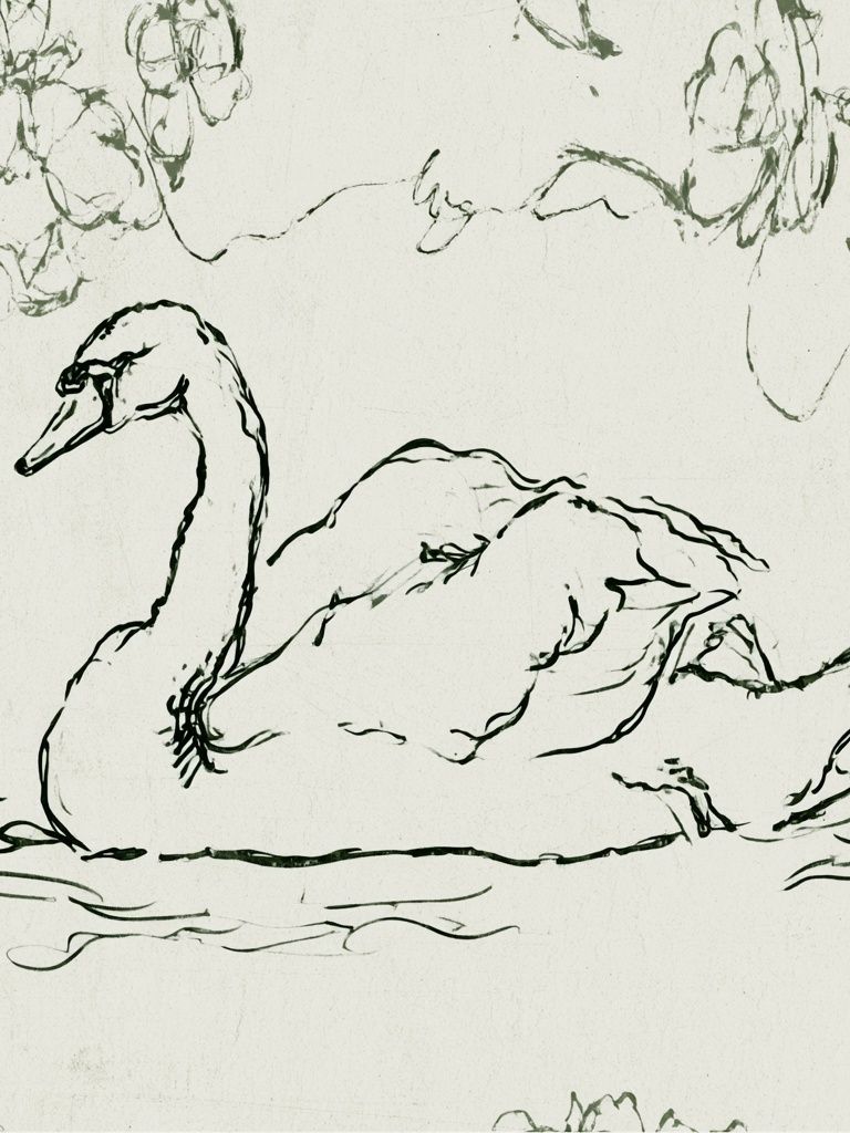 Swan Line Art Poster. poster — animals art