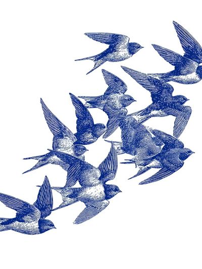 Swallow Flock Ink Poster.