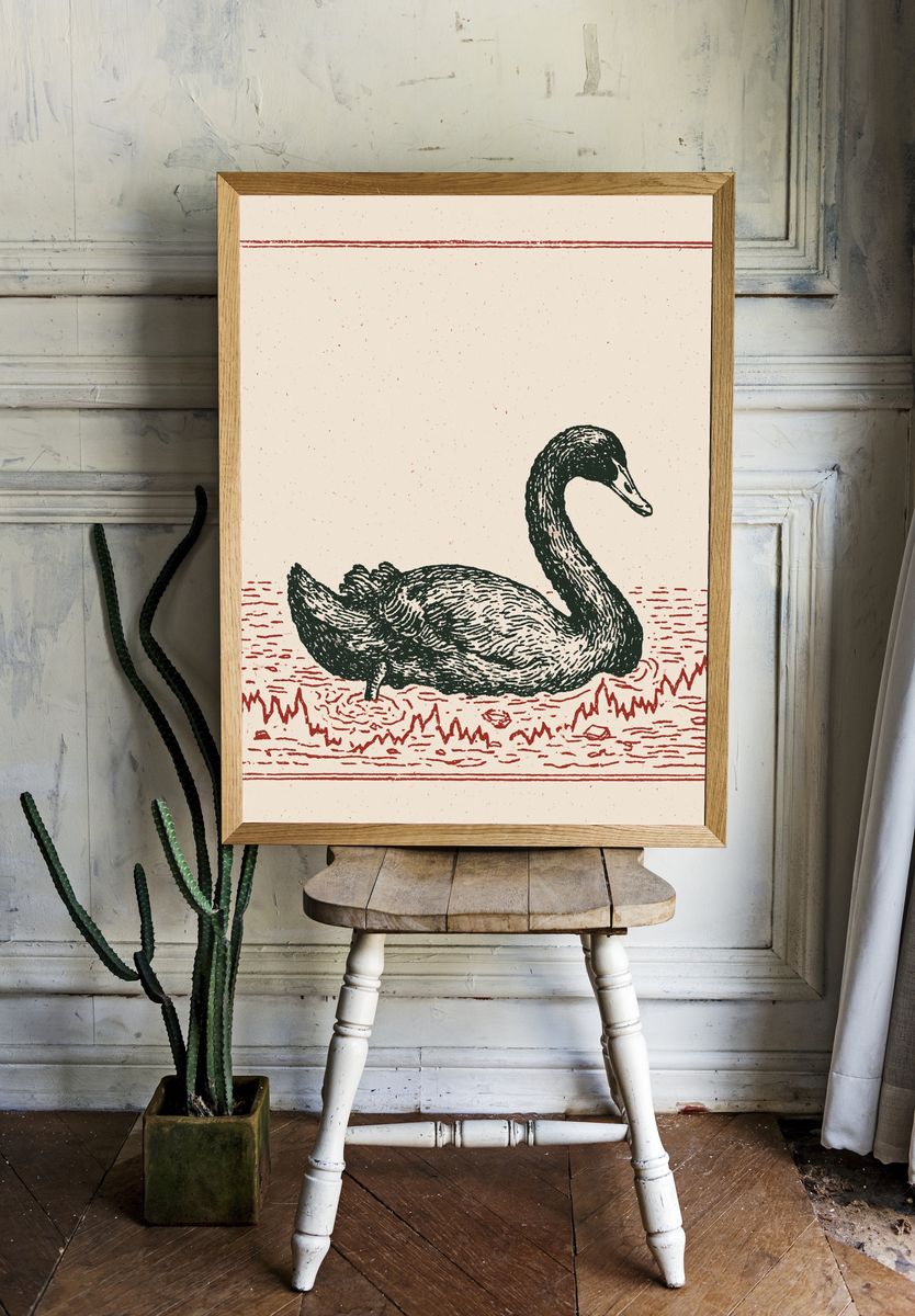 Swan Vintage Illustration Poster. — room view 1