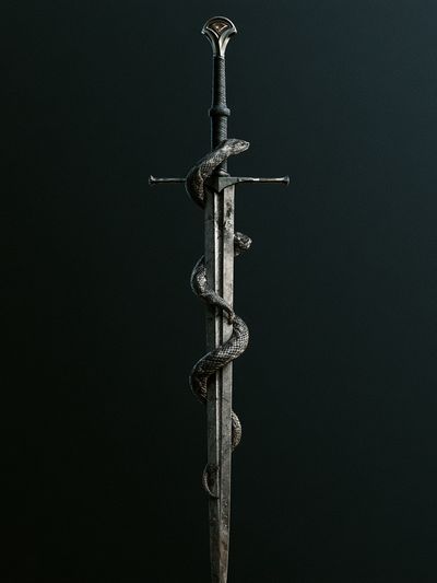 Sword and Serpent Dark Fantasy Print. poster