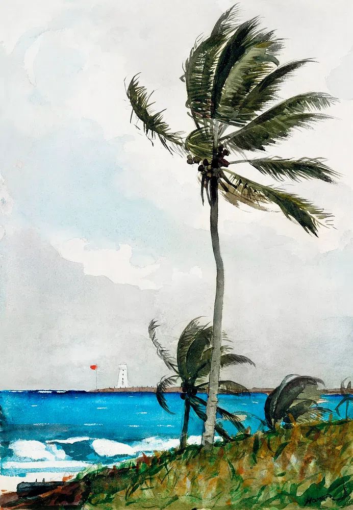 Tropical Beach Scene — Watercolor Print. poster — nature art