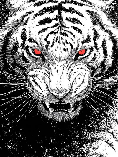 Fierce White Tiger Print. poster print
