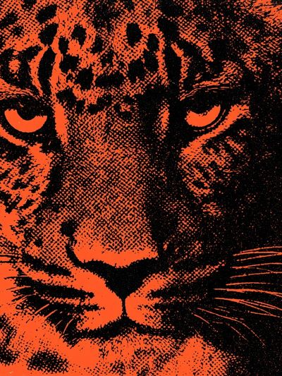 Tiger Pop-Art Poster. poster