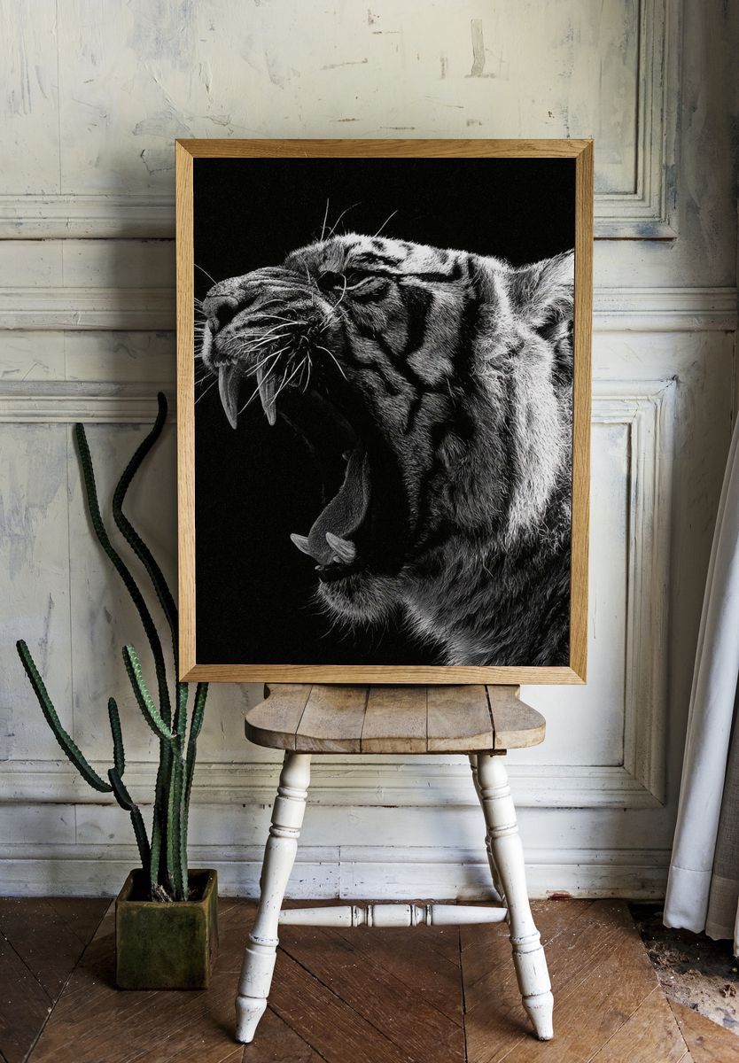 Roaring Tiger Black-White Poster. room preview