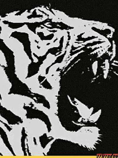 Tiger Face Black-White Poster.
