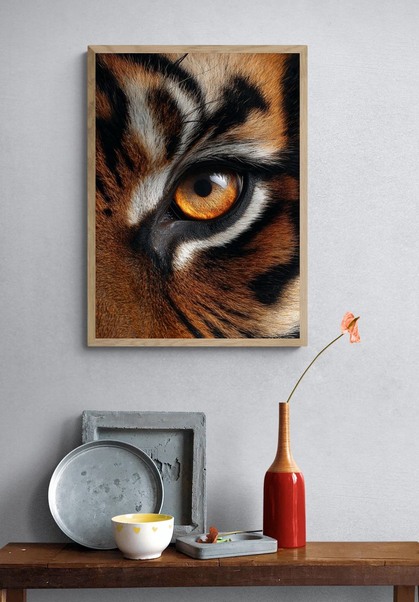 Tiger Eye Photography Poster. — room view 3