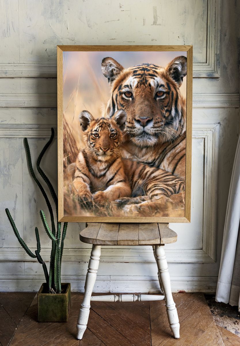Tiger Mother and Cub Photography Poster. — room view 1