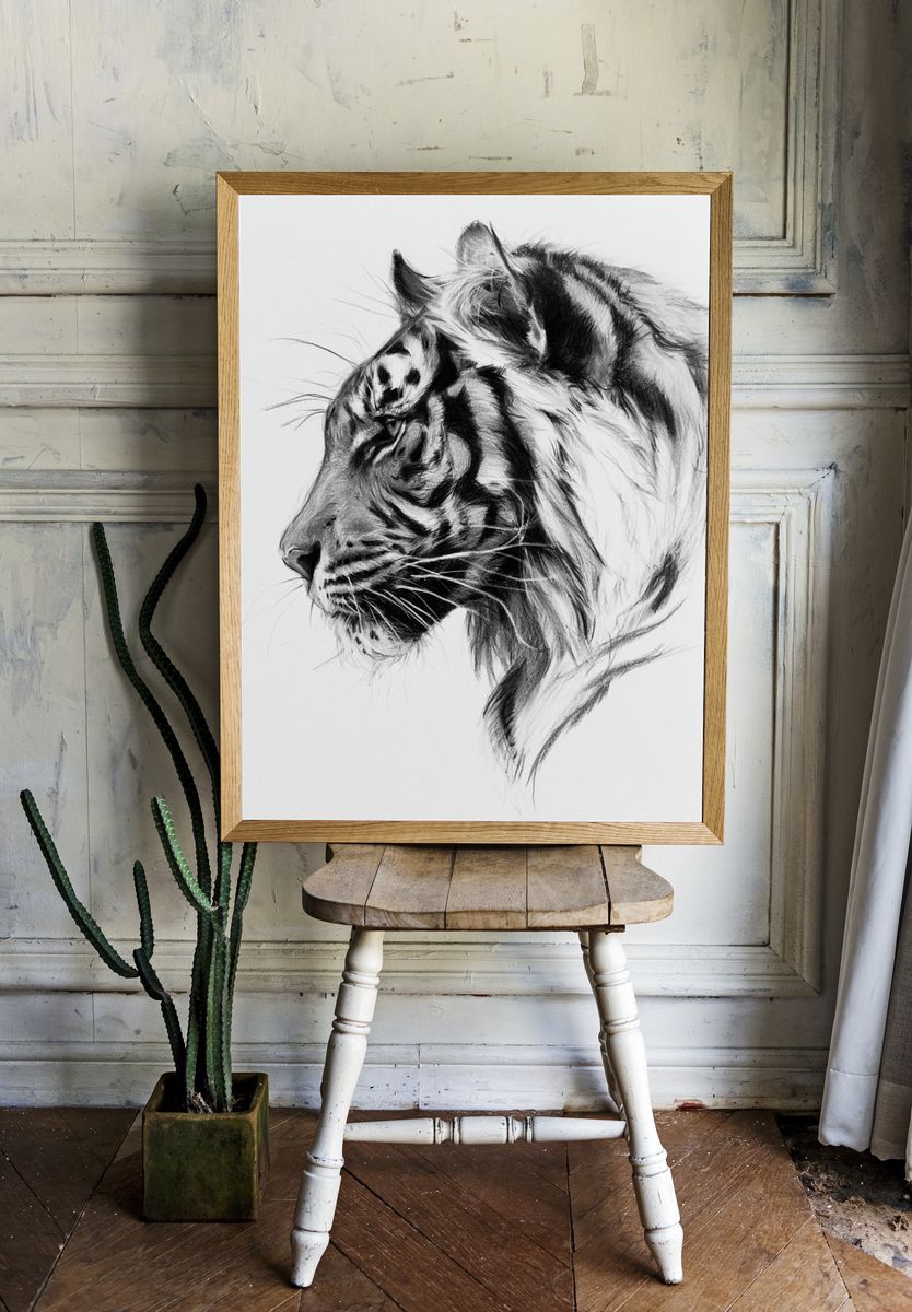 Tiger Profile Sketch Poster. — room view 1