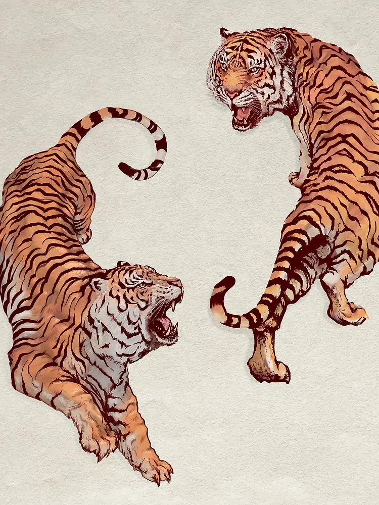 Hand drawn roaring yin yang. poster — illustration art
