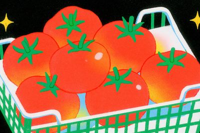 Tomatoes in Basket Illustration Poster. poster print