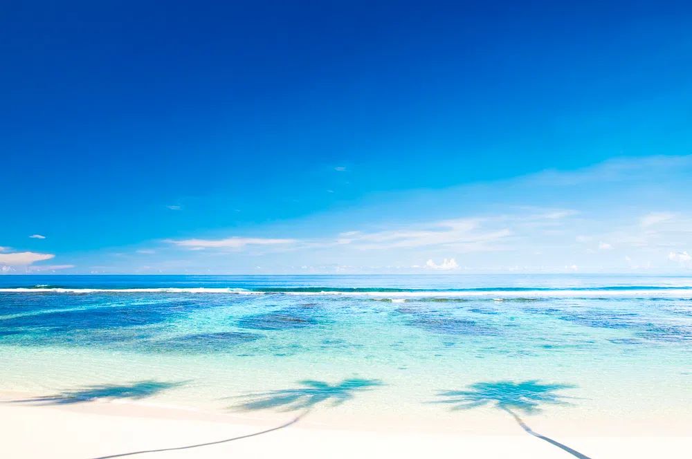 Tropical Beach with Palm Shadows — Photography Print. poster detail