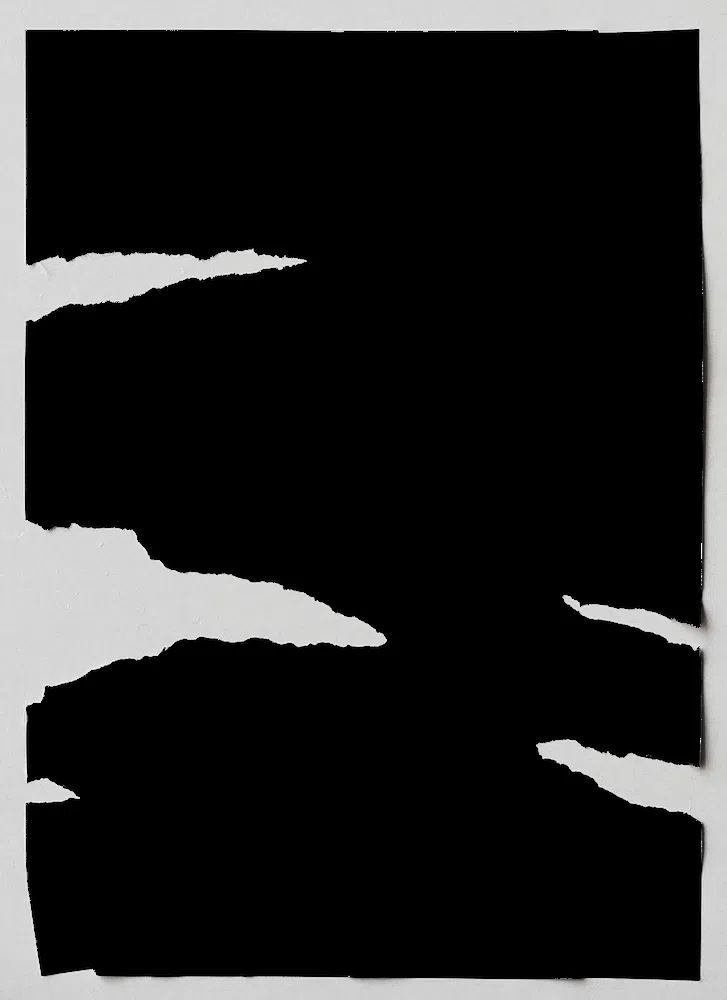 Torn Paper Black and White Poster. poster detail