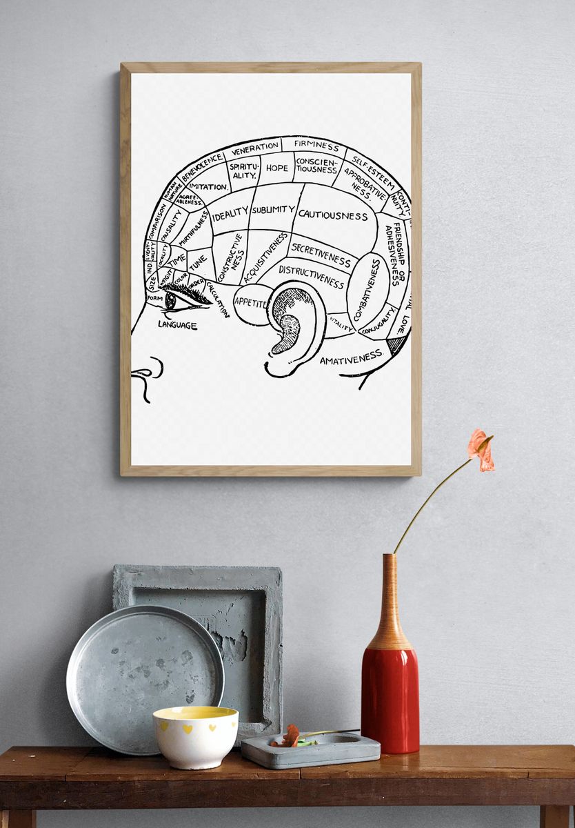 Phrenology chart drawing, vintage neurology. — room view 3