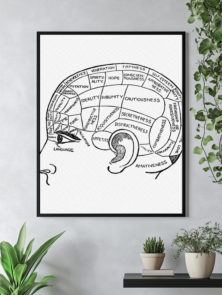Phrenology chart drawing, vintage neurology. — room view 4