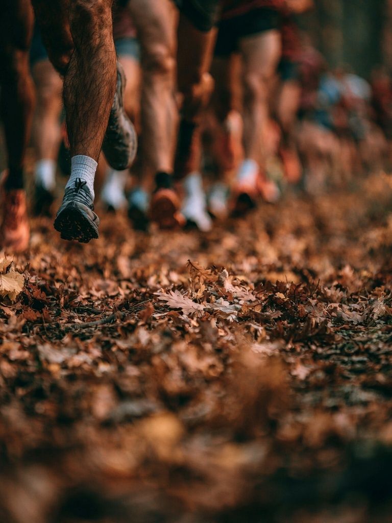 Trail Runners in Autumn Forest Poster. poster detail