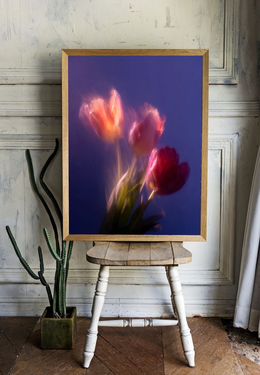 Dreamy Tulips Photography Poster. room preview