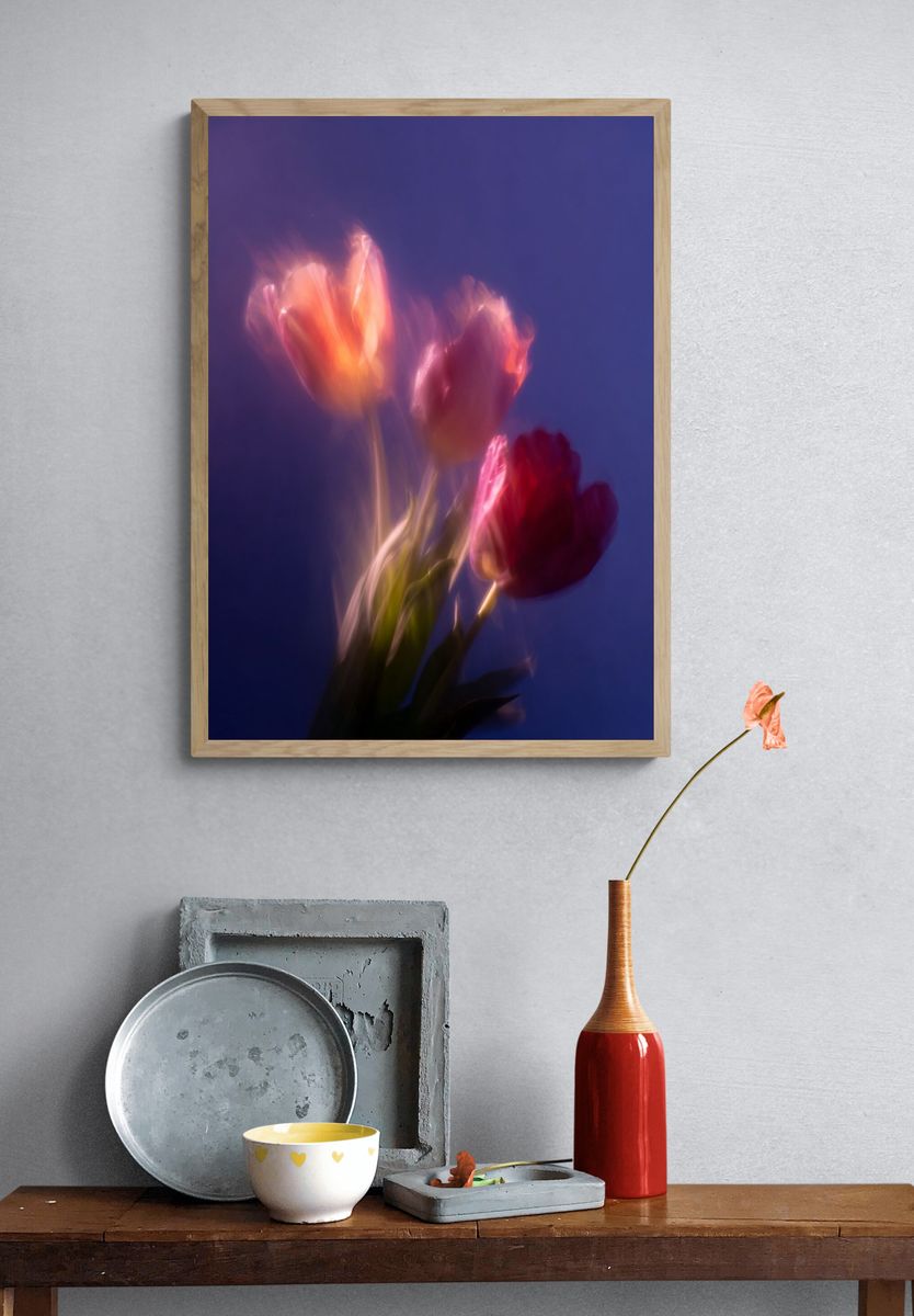 Dreamy Tulips Photography Poster. — room view 3