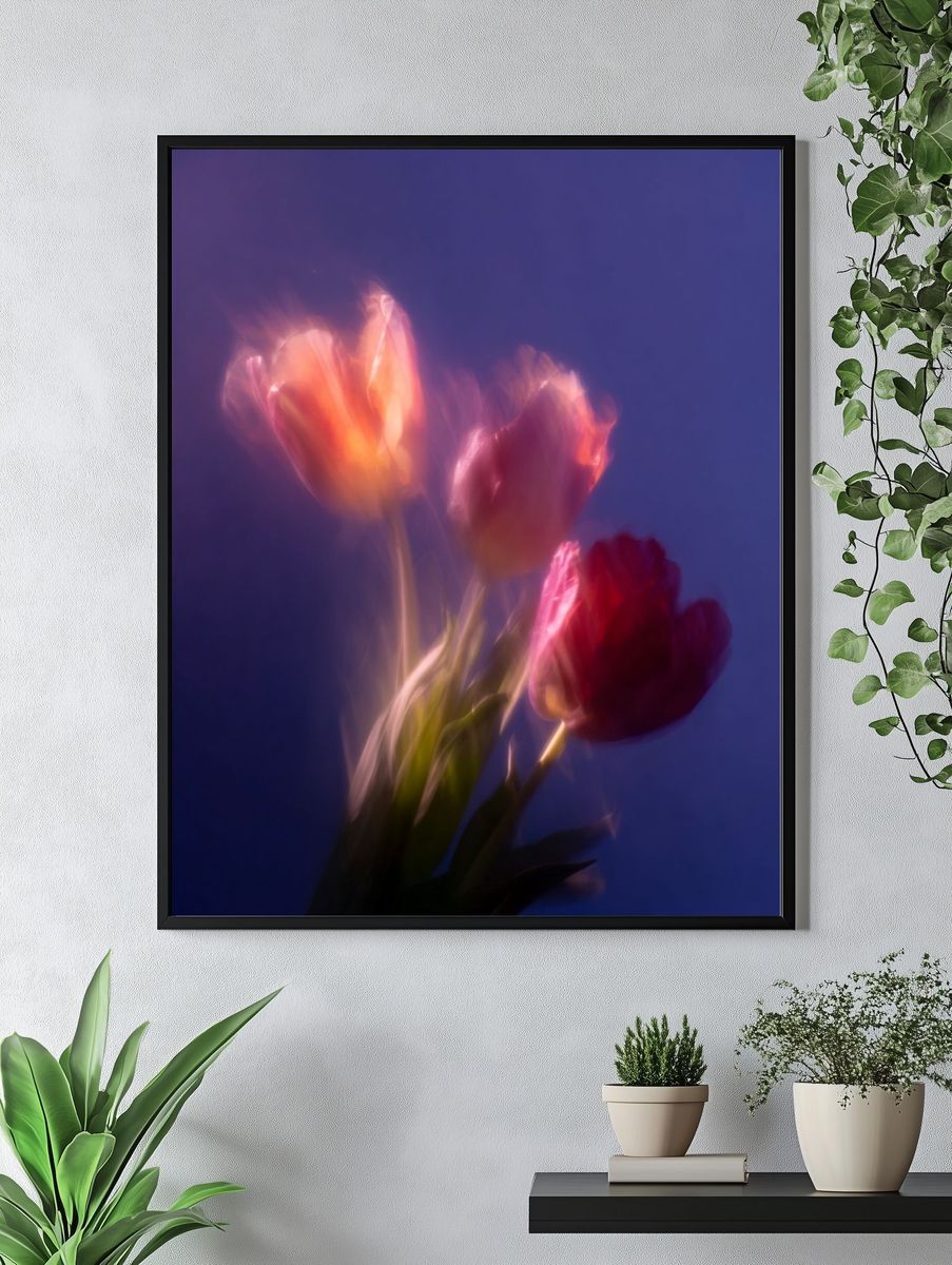 Dreamy Tulips Photography Poster. — room view 4