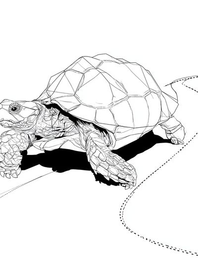 Geometric Turtle Line Art Poster.