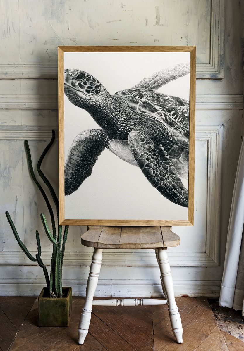 Sea Turtle Black-White Print. room preview