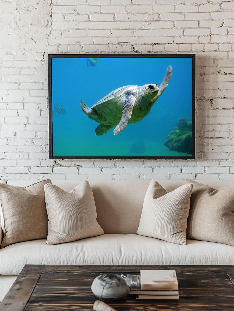 Sea Turtle Swimming — Nature Print room preview