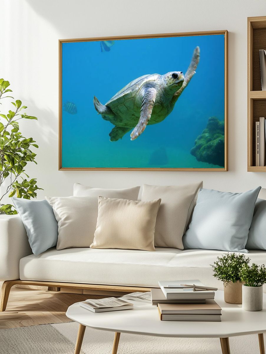 Sea Turtle Swimming — Nature Print. — room view 2