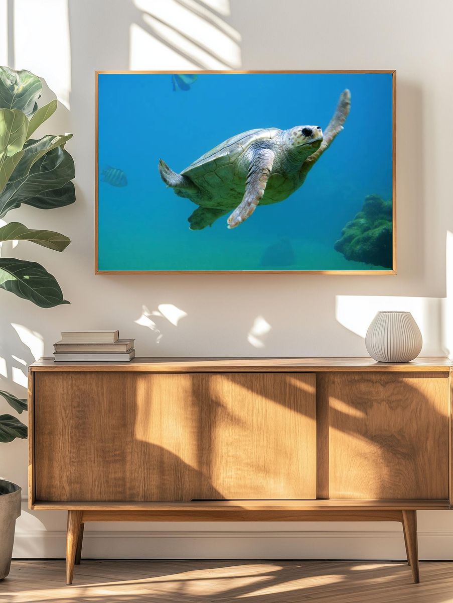 Sea Turtle Swimming — Nature Print. — room view 3