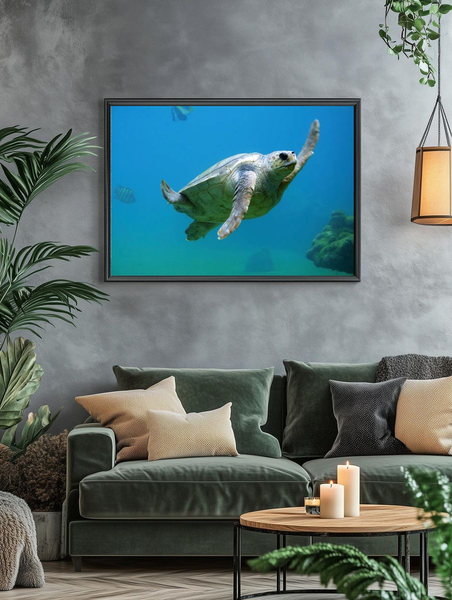 Sea Turtle Swimming — Nature Print. — room view 4